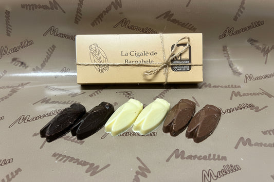 Coffret Cigales- Chocolat Blanc,Lait et Noir Fourrés Praliné Croustillant